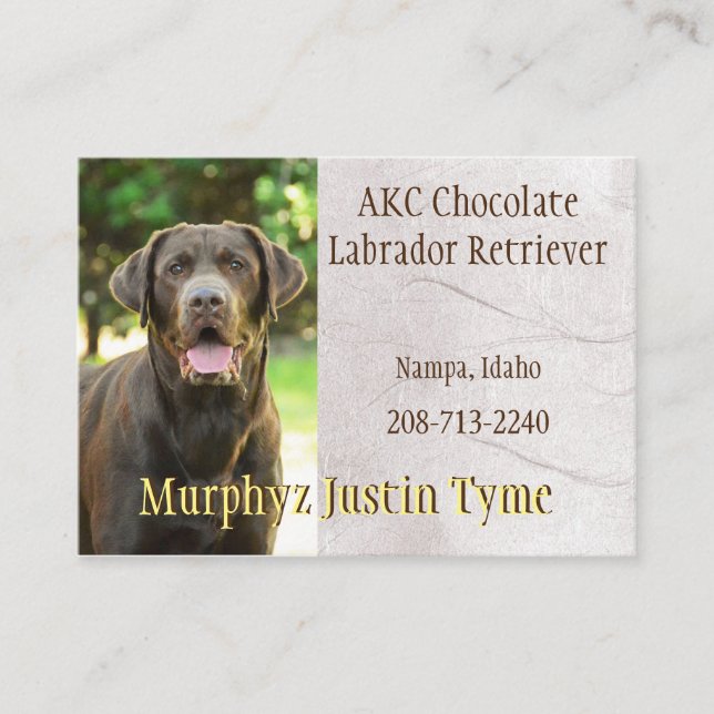Murphys Business Card (Front)