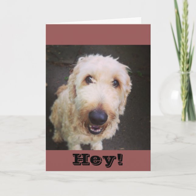 Murray Greeting Card (Front)