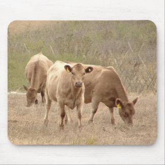 murray greys mouse pad