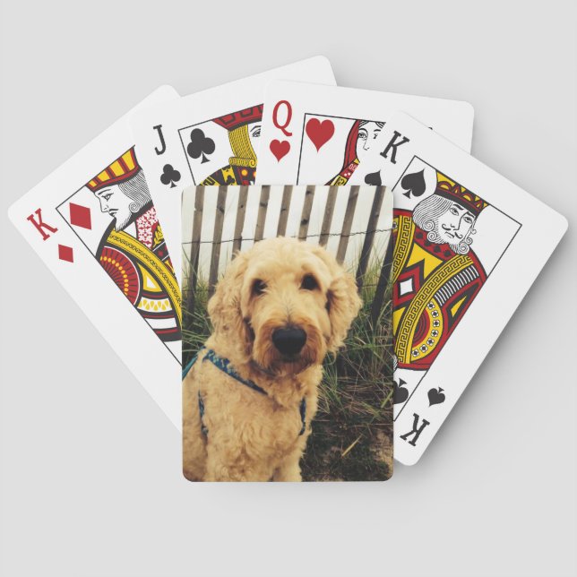 Murray Playing Cards (Back)