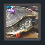 Murtle the Christmas Turtle Keepsake Box<br><div class="desc">Murtle wants to celebrate Christmas.  No turtle was harmed in the making of this image.  Murtle is 11-years-old in this photo.  Photography by Angelandspot.  All rights reserved © Angelandspot</div>