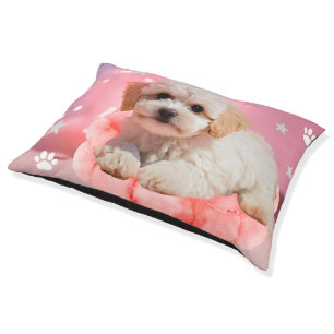 Murugi Pet Essentials Cozy Paws Haven Indoor Pet Bed