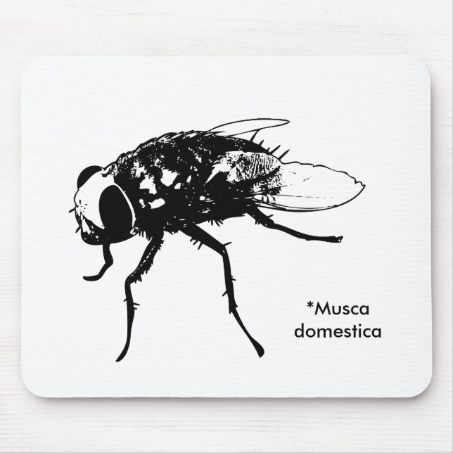 Musca domestica mousepad (Front)