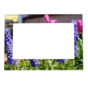 Muscari N Tulips Magnetic Photo Frame