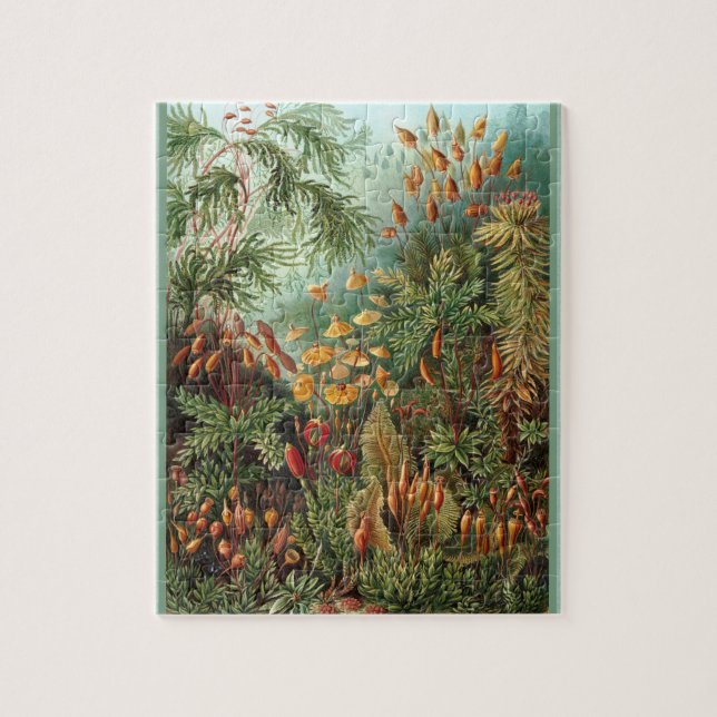 Muscinae - Ernst Haeckel 8x10 Jigsaw Puzzle (Vertical)