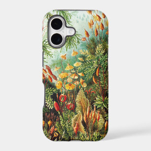 Muscinae illustration by Ernst Haeckel iPhone 17 Case