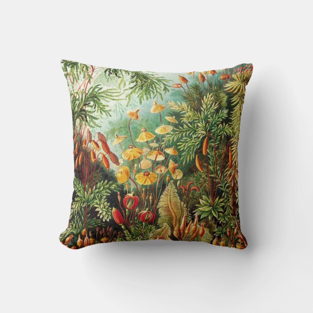 Muscinae illustration by Ernst Haeckel Throw Pillow (Front)