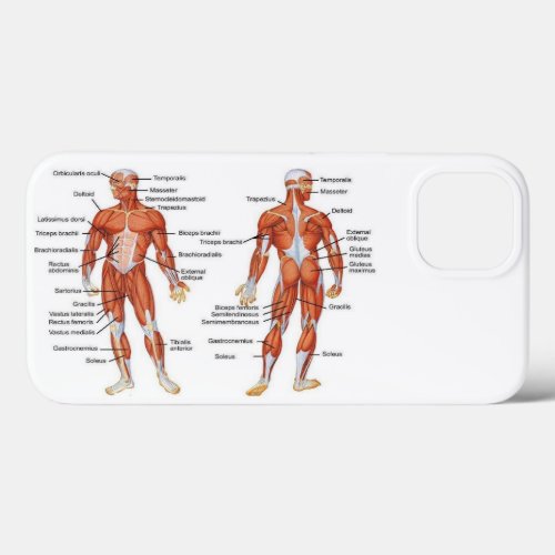 Muscle Diagram medgifts101 iPhone 13 Case
