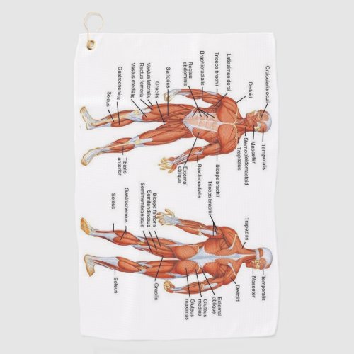 Muscle Diagram medgifts101 Golf Towel