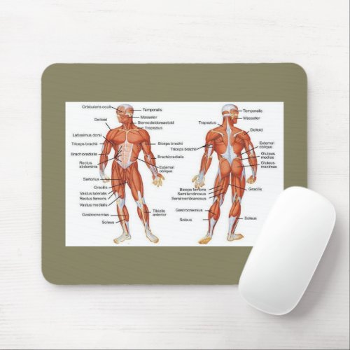Muscle Diagram medgifts101 Mouse Pad