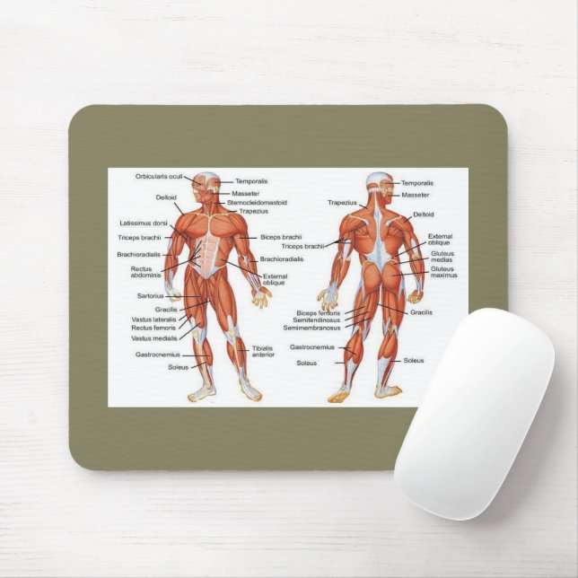 Muscle Diagram medgifts101 Mouse Pad (With Mouse)
