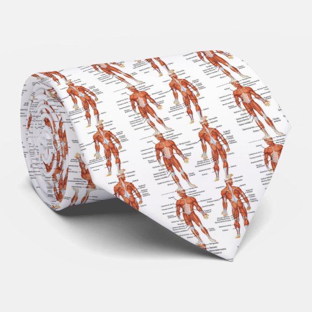 Muscle Diagram medgifts101 Neck Tie (Rolled)