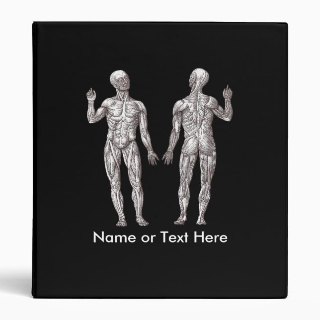 Muscle Men - Anatomy of the Human Muscular System 3 Ring Binder (Front)