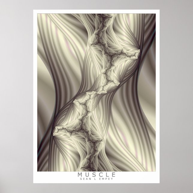 MUSCLE POSTER (Front)
