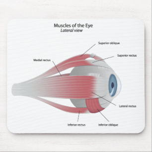 Muscles of the Eye Mousepad