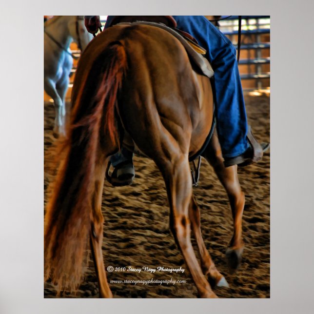 Muscles Poster (Front)