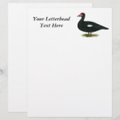 Muscovy Black Drake (Front/Back)