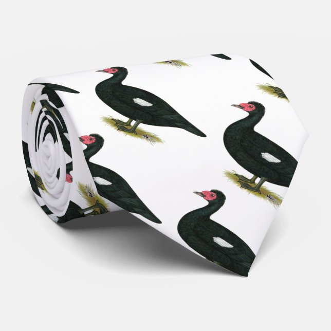 Muscovy Black Drake Neck Tie (Rolled)