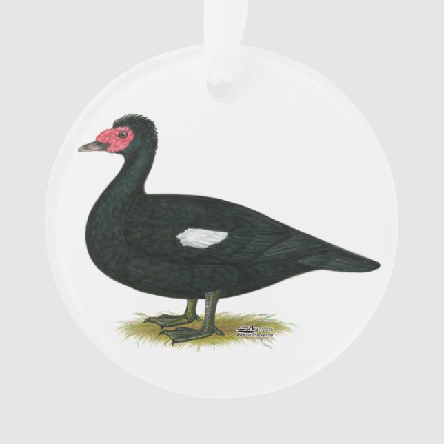 Muscovy Black  Drake Ornament (Front)