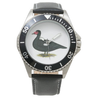 Muscovy Black Drake Watch