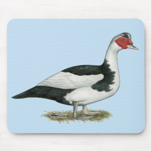 Muscovy Black Pied Drake Mouse Pad