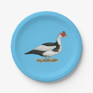 Muscovy Black Pied Drake Paper Plates