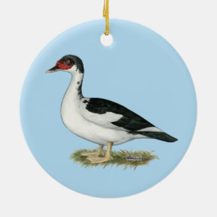 Muscovy Black Pied Duck Ceramic Ornament