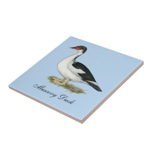 Muscovy Black Pied Duck Ceramic Tile