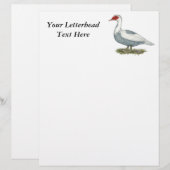Muscovy Blue Pied Duck (Front/Back)