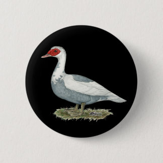 Muscovy Blue Pied Duck Pinback Button