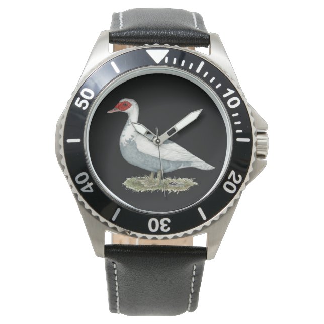 Muscovy Blue Pied Duck Watch (Front)