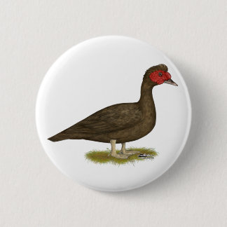 Muscovy Drake Chocolate Button