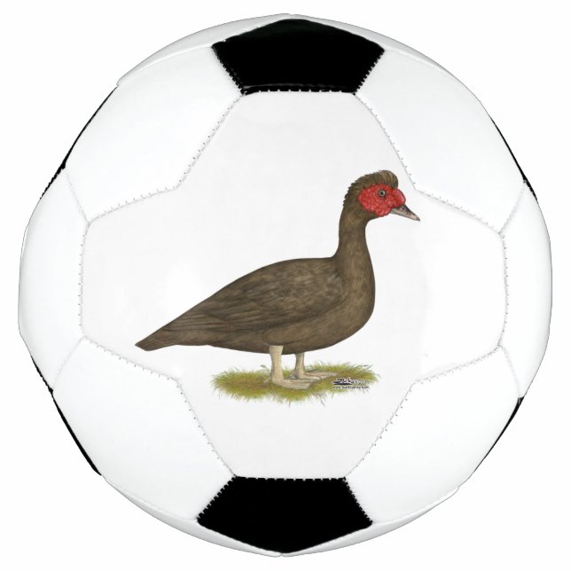 Muscovy Drake Chocolate Soccer Ball (Front)