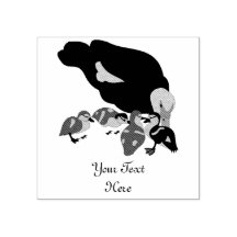 Muscovy Duck and Duckling