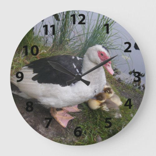 Muscovy Duck And Ducklings Clock