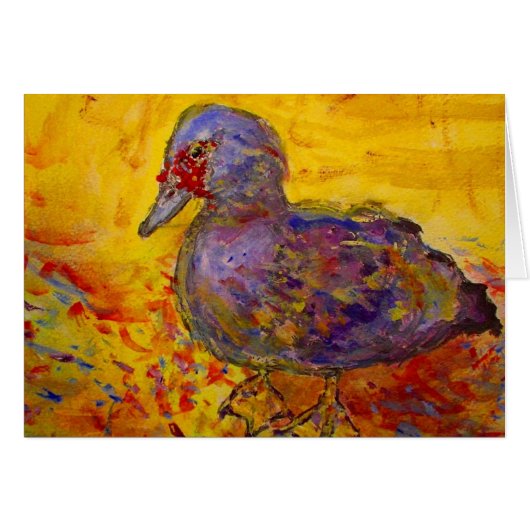 muscovy duck cards (Front Horizontal)