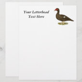 Muscovy Duck Chocolate (Front/Back)