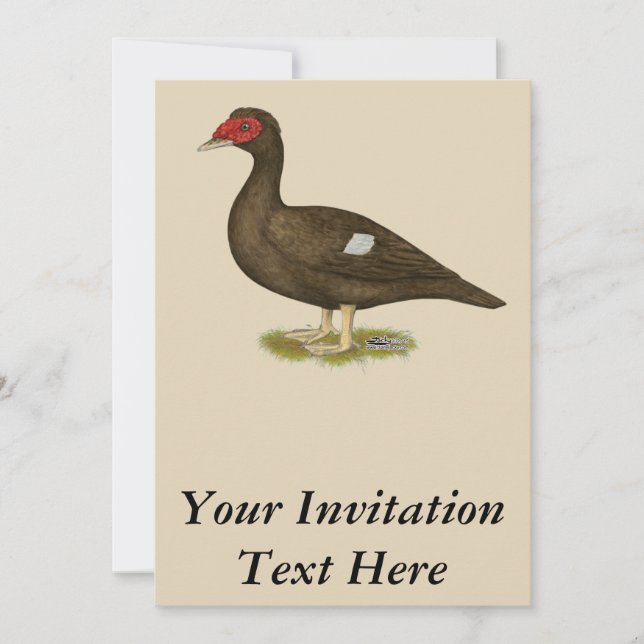 Muscovy Duck Chocolate Invitation (Front)