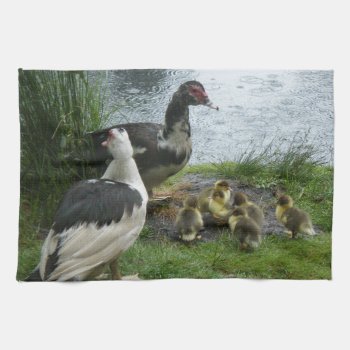 Muscovy Duck Family Kitchen Towel by PugWiggles at Zazzle