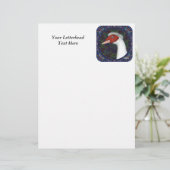 Muscovy Duck Head White (Standing Front)