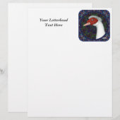 Muscovy Duck Head White (Front/Back)