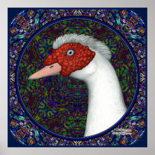 Muscovy Duck Head White Poster