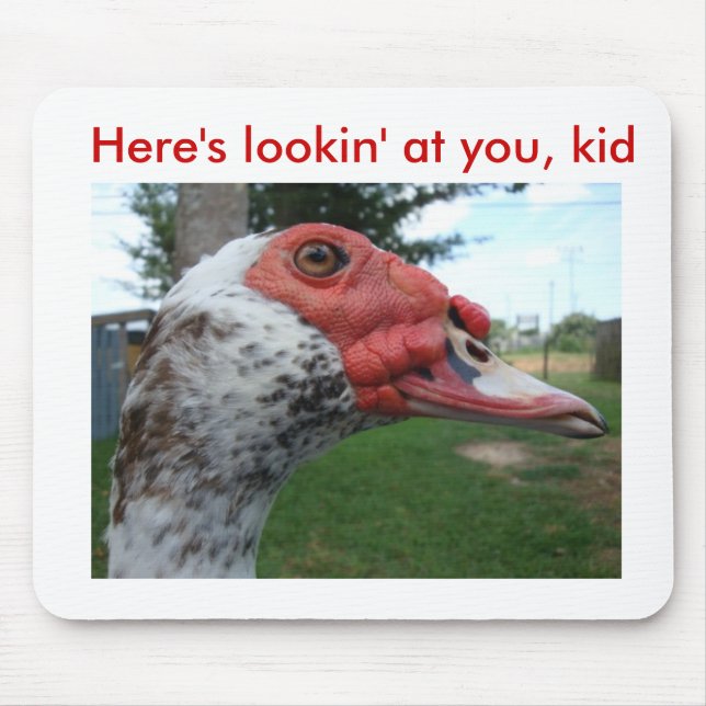 Muscovy Duck mousepad (Front)
