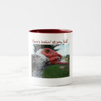 Muscovy duck mug