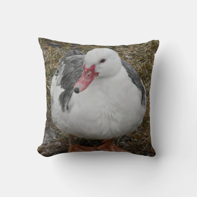 Muscovy Duck Throw Pillow (Front)