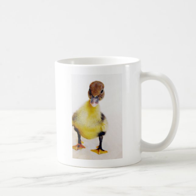 Muscovy Duckling Coffee Mug (Right)