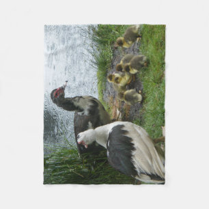 Muscovy Ducks And Ducklings Fleece Blanket