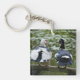 Muscovy Ducks Sitting On A Ornament Keychain