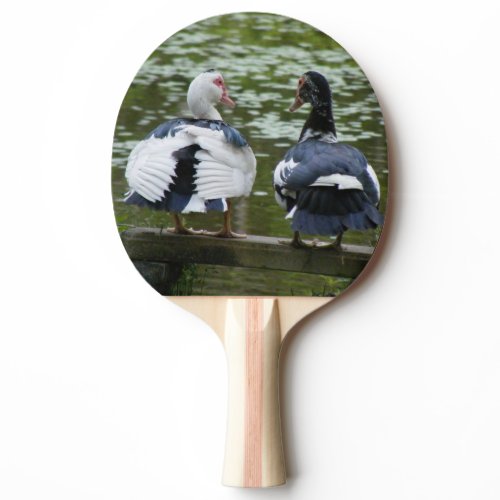 Muscovy Ducks Sitting On An Ornament Paddle
