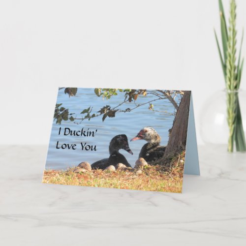 Muscovy Ducks _ Valentines Day Card